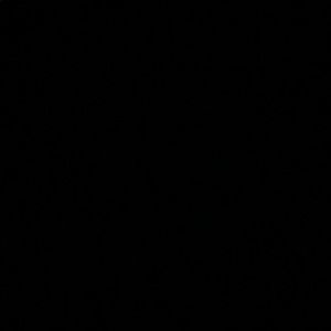 Meet your Posher, Tony